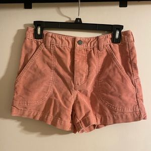 Corduroy Patagonia Shorts